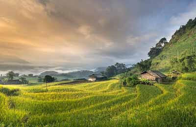 農村合作經濟對農村經濟發展的影響