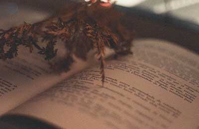 母親節(jié)詩歌