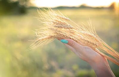 全學段聯動培養民歌傳承人的路徑研究