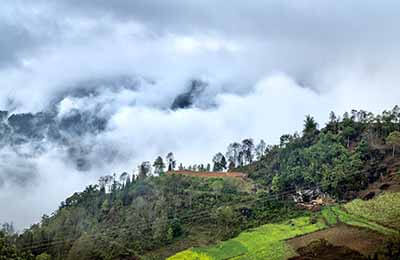 鄉村生態環境建設
