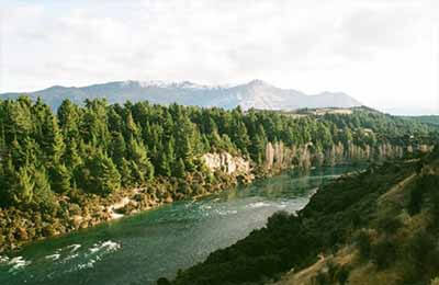 公司財務治理理論