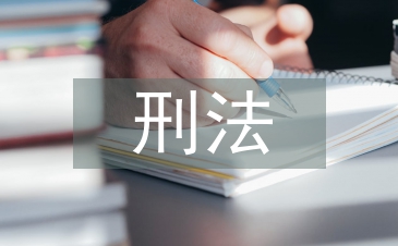 刑法案例分析報告