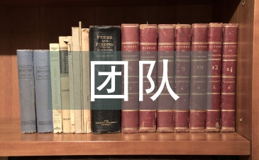 保險公司團(tuán)隊經(jīng)營理念