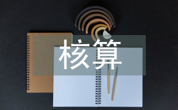 財(cái)務(wù)會(huì)計(jì)的核算