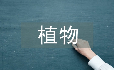 植物營養學論文