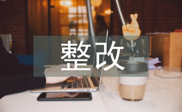 村級巡察整改報告