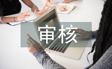 審核實習個人總結