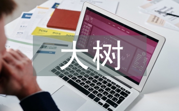 野生香樟大樹的移栽與養(yǎng)護(hù)