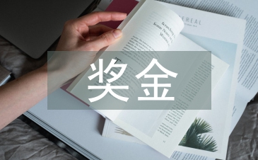 獎(jiǎng)金分配方案