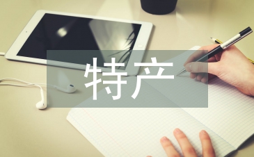 電子商務特產銷售系統技術分析