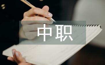 中職會計工作計劃