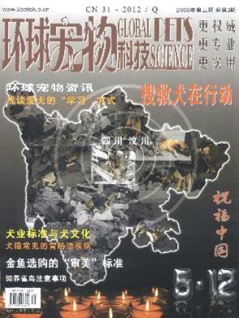 環(huán)球?qū)櫸锟萍? /></a>
							<div   id=