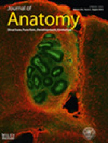 解剖學(xué)雜志