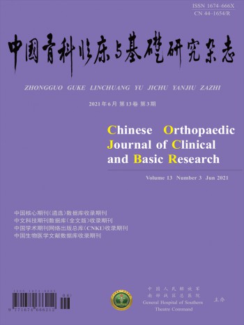 中國骨科臨床與基礎研究