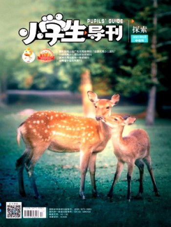 小學(xué)生導(dǎo)刊·中年級