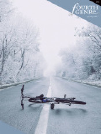 非小說類文學(xué)的第四類探索